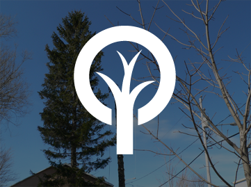 Taille de formation des arbres à Laval / Émondeur Laval