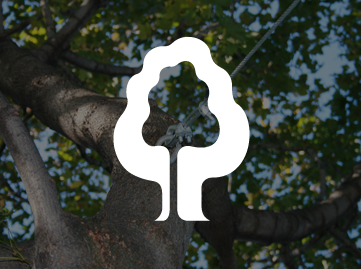 Service Haubanage arbre Laval / Émondeur Laval