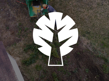 Service Déchiquetage de branche arbre Laval / Émondeur Laval