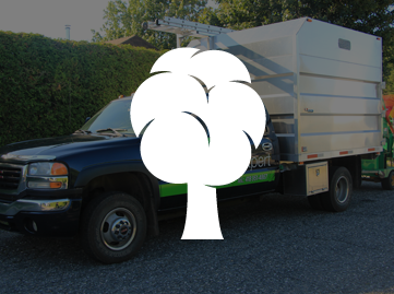 Assurance responsabilité arbre / Émondeur Laval