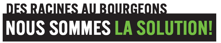 Service d'émondage et abattage arbre à Laval / Émondeur Laval